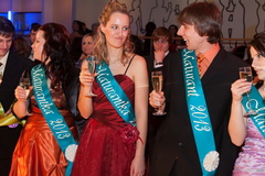 733-20130222 IMG 3481