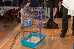 20150213 IMG 5561