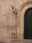 IMG 4530