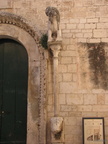 IMG 4531