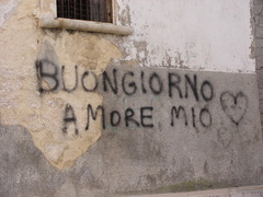 IMG 4537