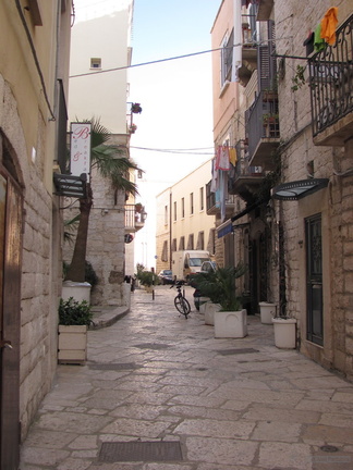 IMG 4539