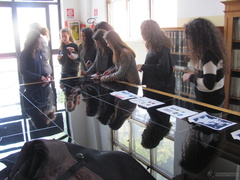 IMG 4616