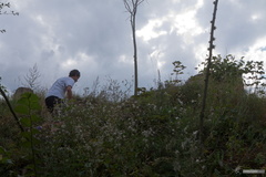 20120911 IMG 7151