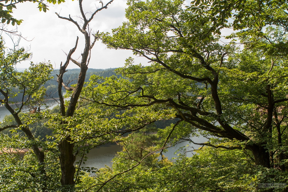 126-20130905 IMG 6306