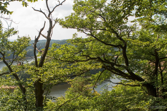 126-20130905 IMG 6306